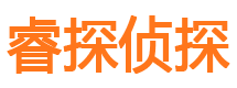 平远市侦探